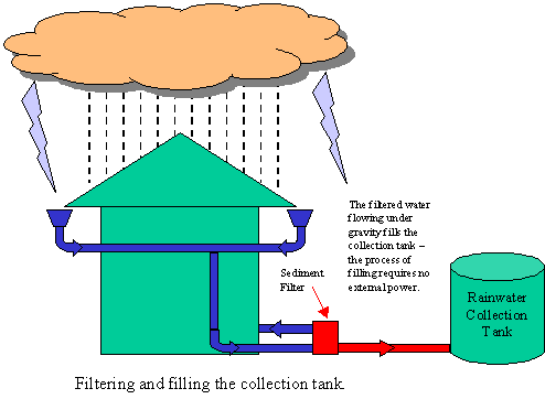 Rain Water Harvesting illustration -1